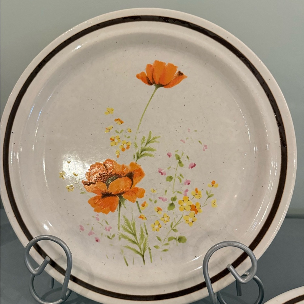 Set of 4 vintage Haniwa Stone Fleur d'Ete stoneware dinner plates